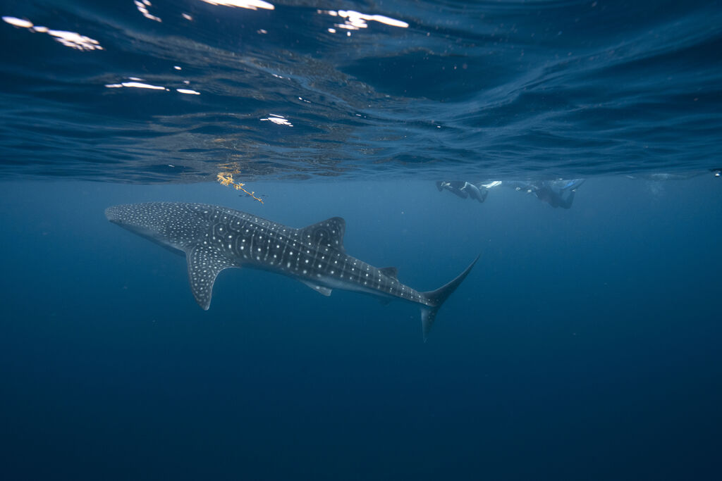 356e76b9-2dd7-4e7e-a17f-7016be55f424