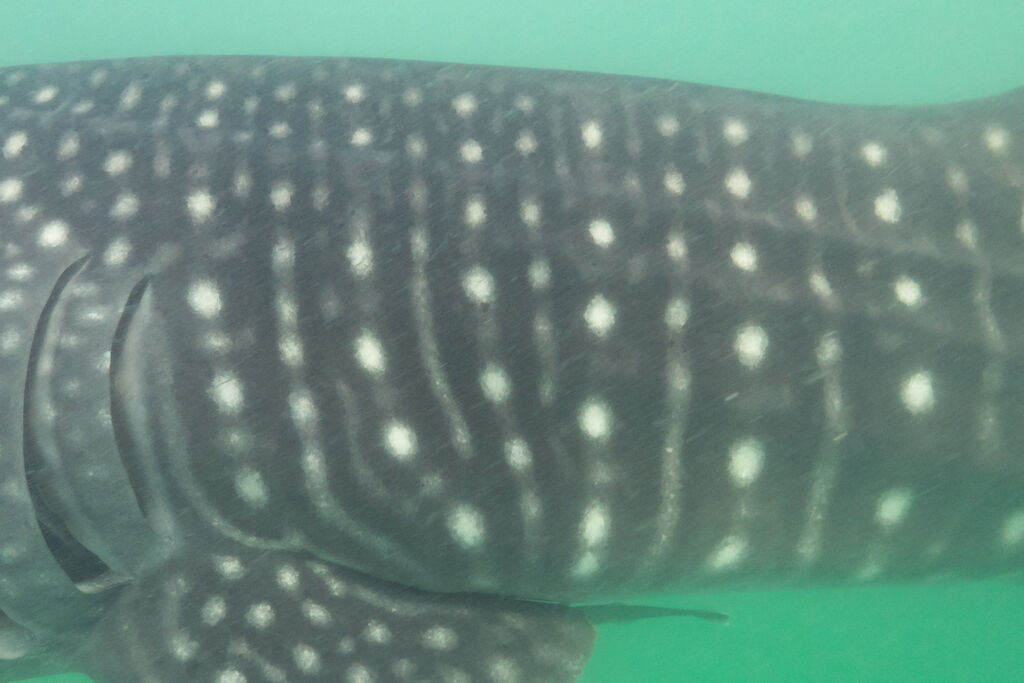 5cc20e7a-8b68-43f3-ab1c-8417579afd5b