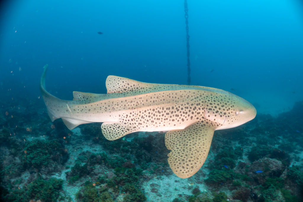 f008a890-42b2-4a73-ac53-20a14d593854