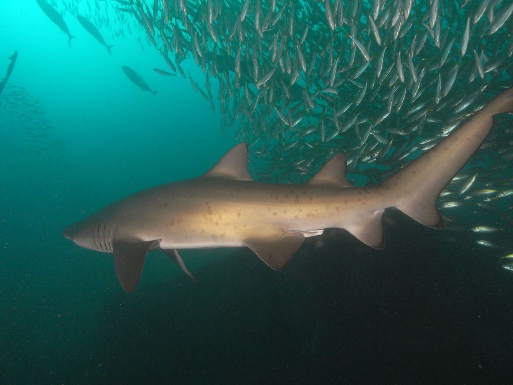 3860b912-5428-48d2-96e5-44d774509f86