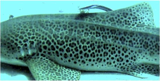 b45f4282-44ca-4e44-bc3b-864317c9c783