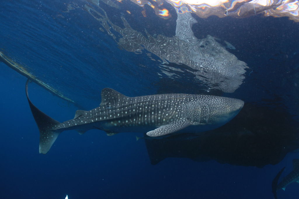 361078d2-6256-47f3-a979-171e8be2bc64