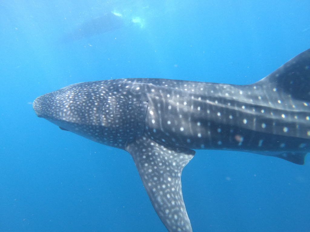 12e75587-4969-4d59-85a3-50acd48b7902