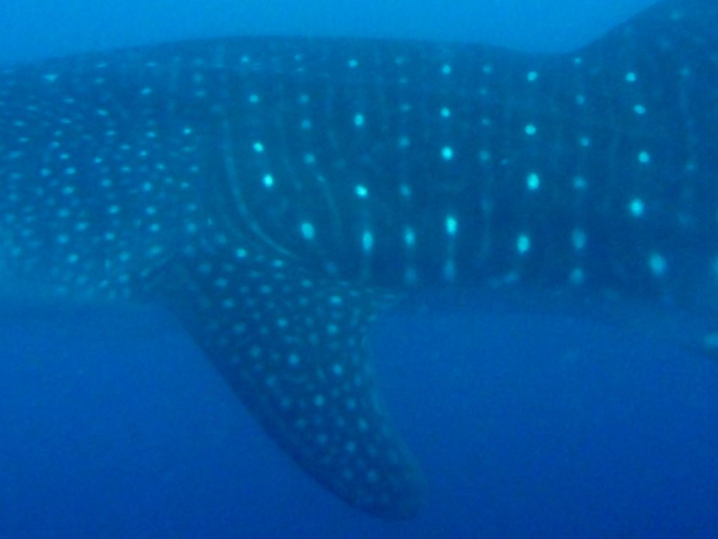 81f38b27-4414-4471-be39-17480f7fe048