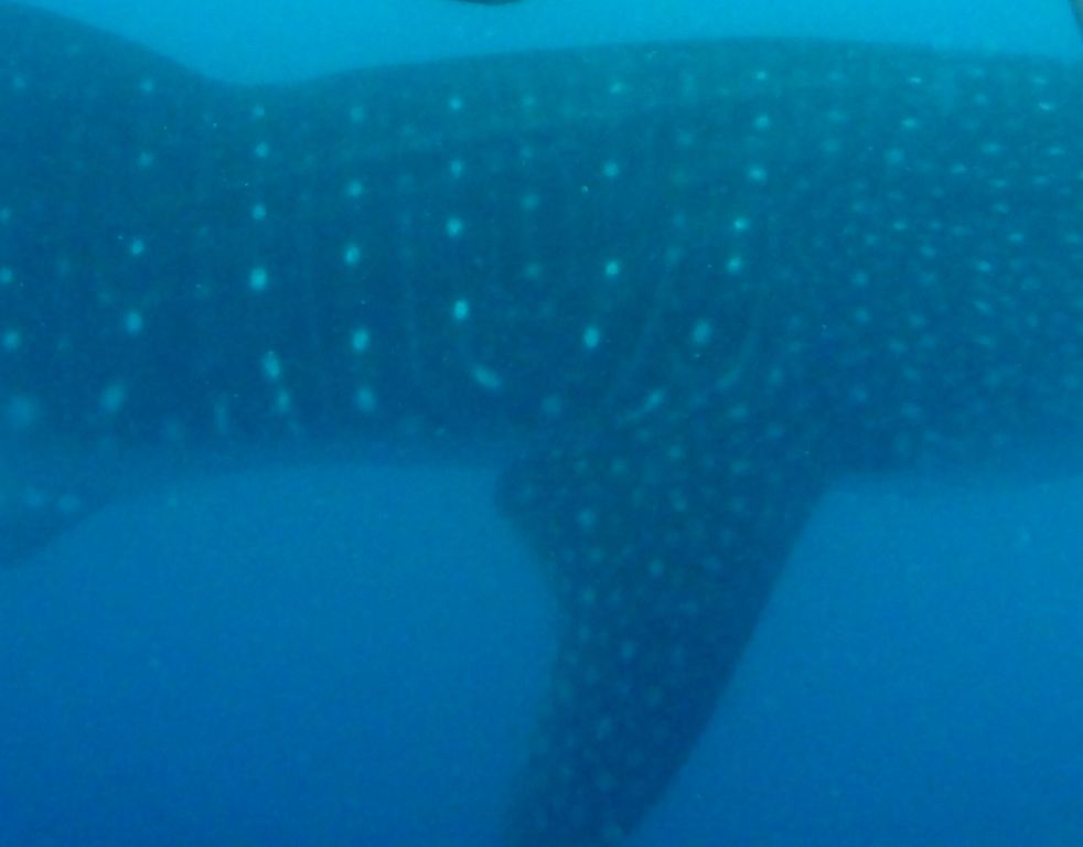 81f38b27-4414-4471-be39-17480f7fe048