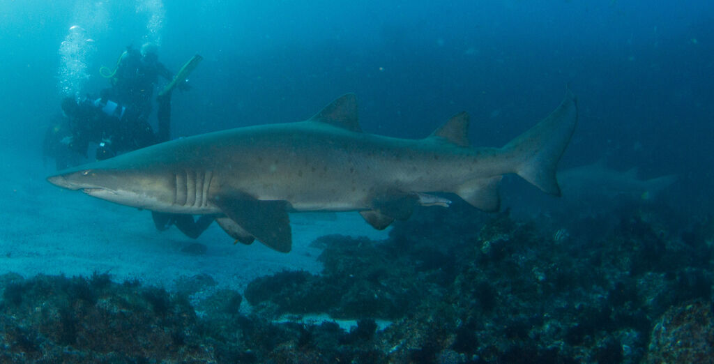 37e27062-46b3-45a8-9175-c07fb76ce778