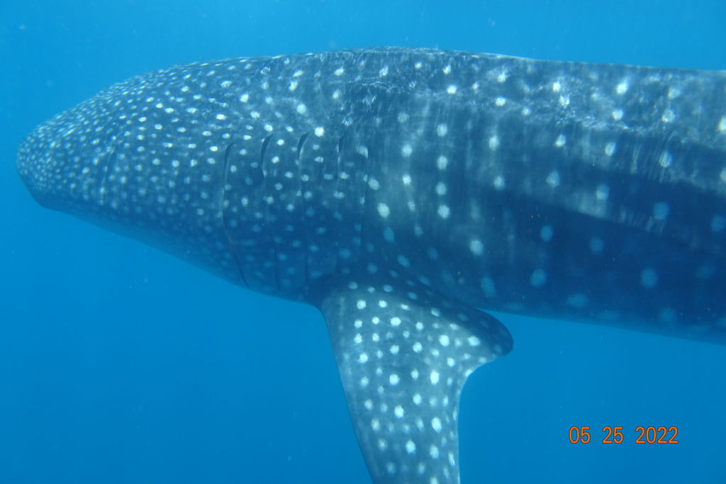 1745bc4b-d39f-4976-96ed-0b7868e84967