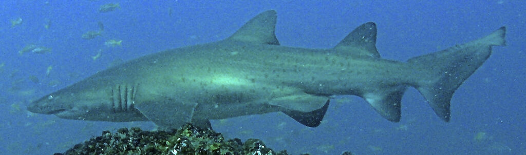 df013a55-cced-4f77-ac4d-94b021b8e8fc