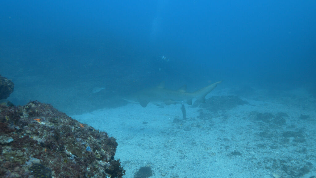 c4bfe670-371a-4716-8bce-1844f0a8802b