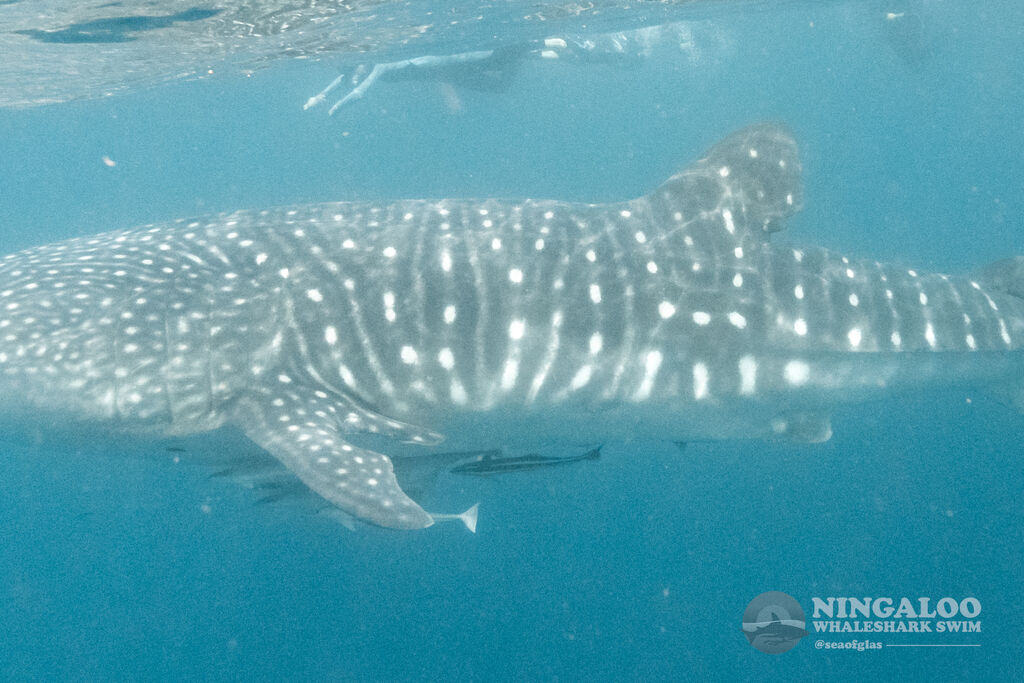 3e5c8688-5ad6-456e-bd31-12e3ed3a45bb