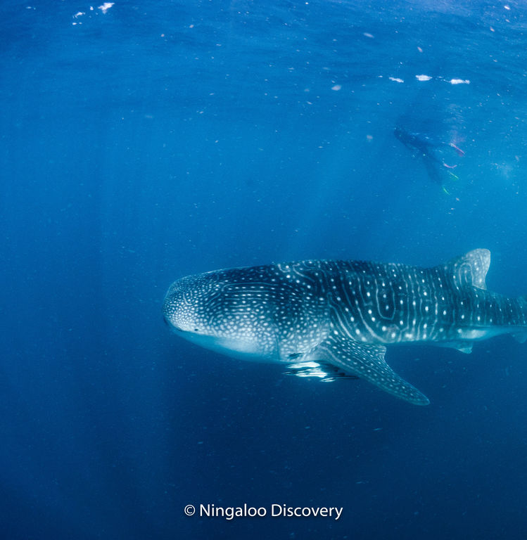 784b2540-b85a-4143-b395-c15aa7182762