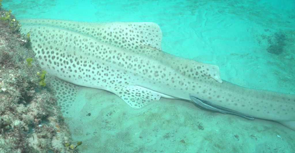 c84538ee-7b6e-4bed-b035-614e0e60b406