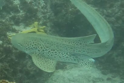 9a061c6f-8b17-4964-95d9-8d68f5868af9