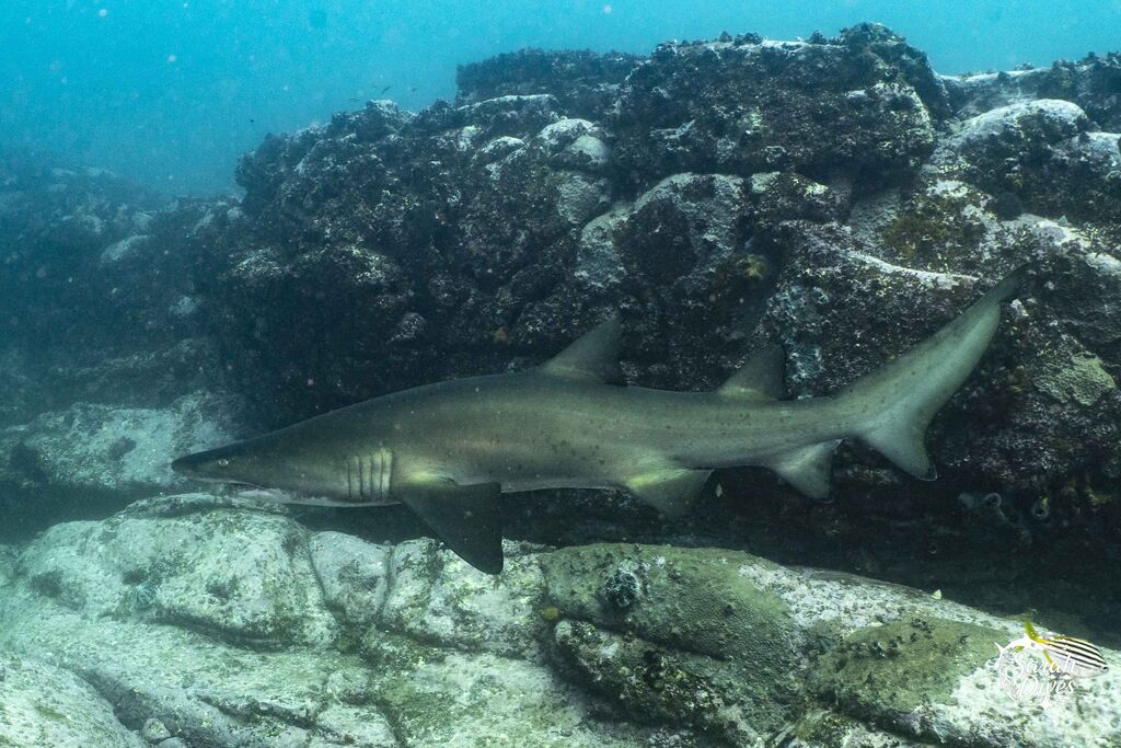 0d79645f-99e1-4f6b-a9d2-9eaf4800c732