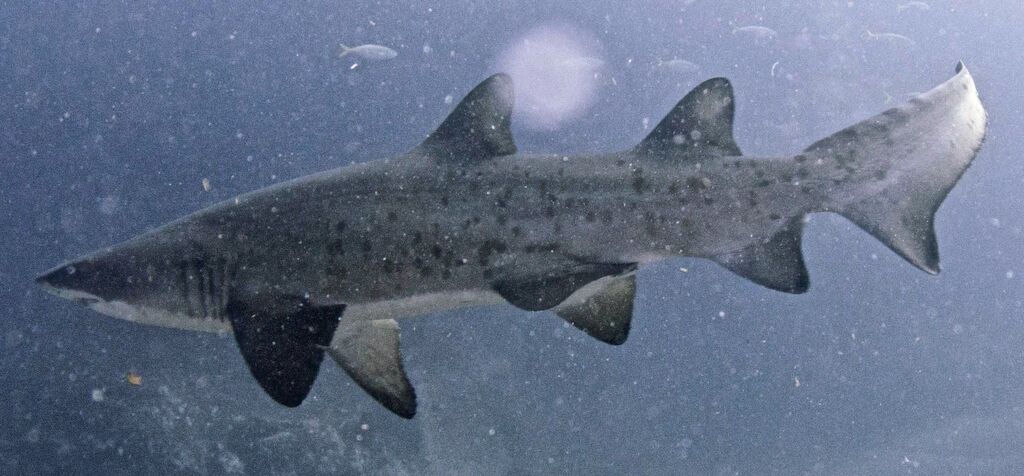 32928760-8a11-40b1-a2cb-04902fa9e9c6