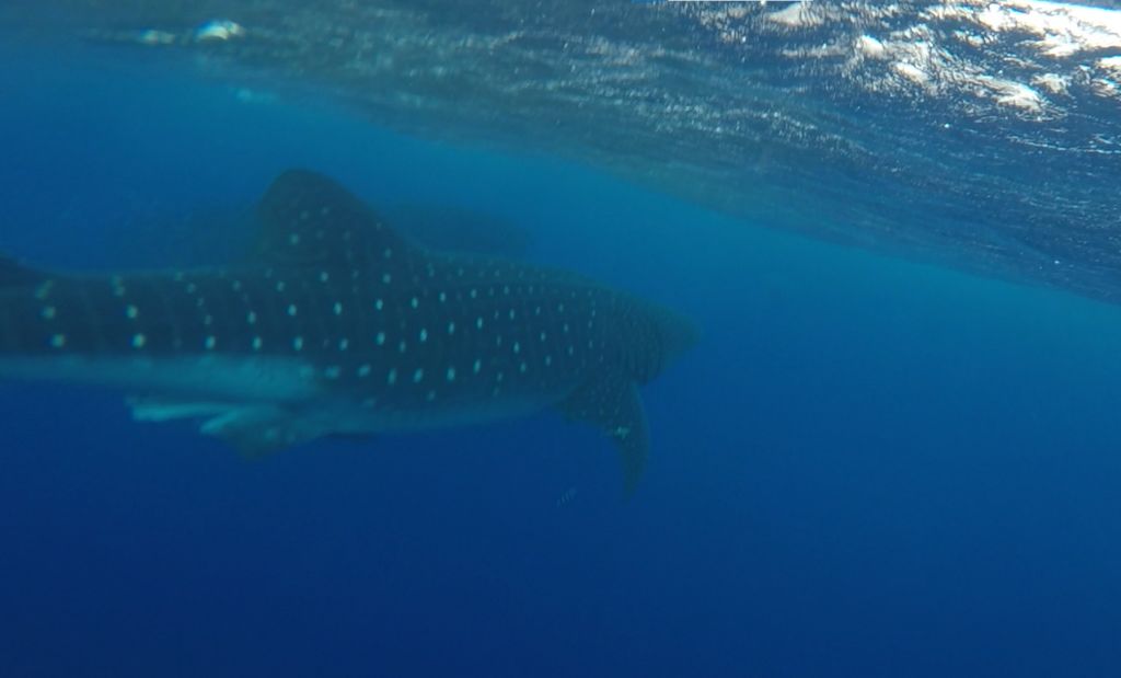 a0e2961a-76ba-4a87-bc8b-6435d3f5cc15