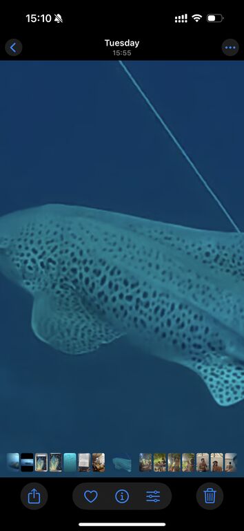 ff5626d1-e447-4079-b67e-e1a7fc8ad645