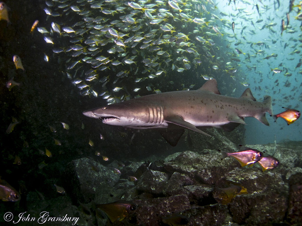 6f73f460-242f-4bb6-9761-47e7ccb85d9b