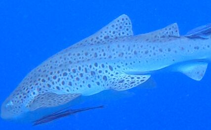 b8acd266-67cd-47db-bf7d-812a387057b8