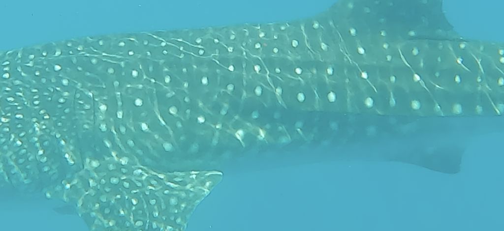 6b8cf216-aaa6-4e13-b59b-acdf007ca323