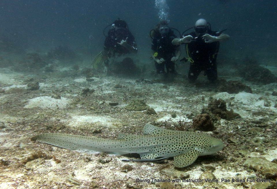 79261a51-8bf8-47f4-bd75-c89aa3828a85