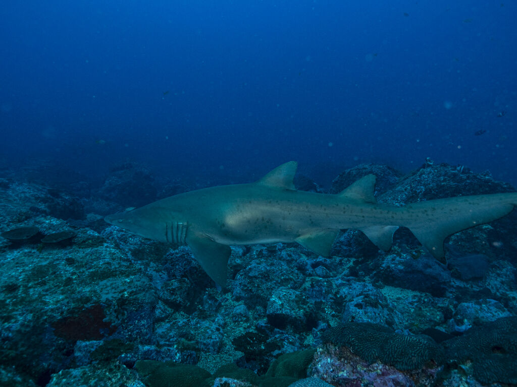 5bba50ed-1cf5-4002-808d-238a6bea92ba