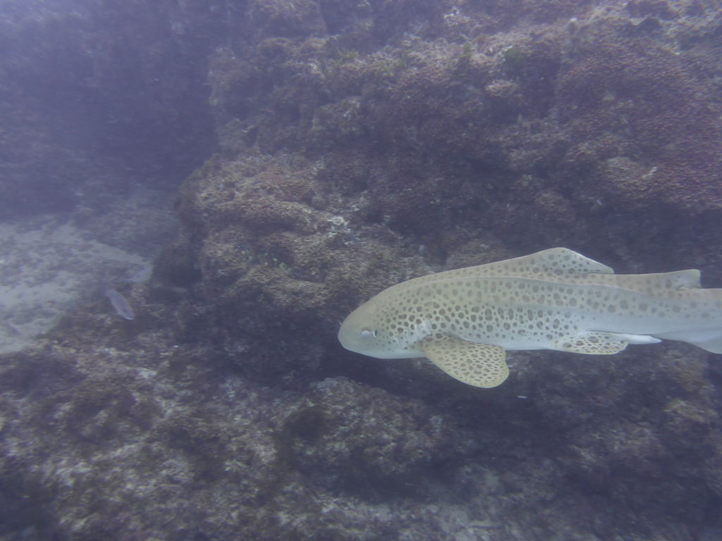 84e56780-f843-4543-99ca-85c0bd31286f