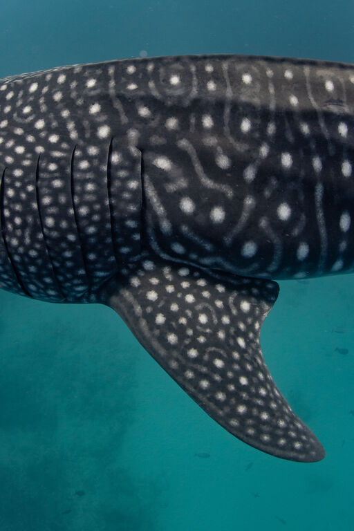 f7fd11da-f29a-439c-93bf-7962f700cddf