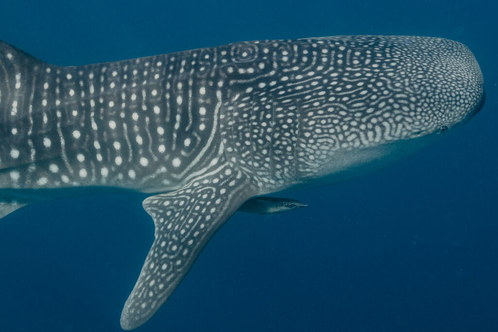 1a98dbf1-f18a-4340-b8ce-51a3e2163515