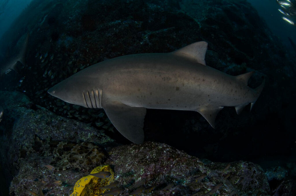 a07292d7-2582-4587-b0e7-63cc5514f2dc