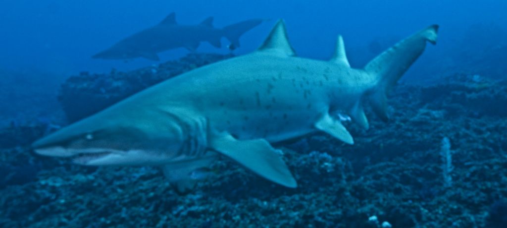 66f209be-a51a-403c-881c-bf0e60c417ab