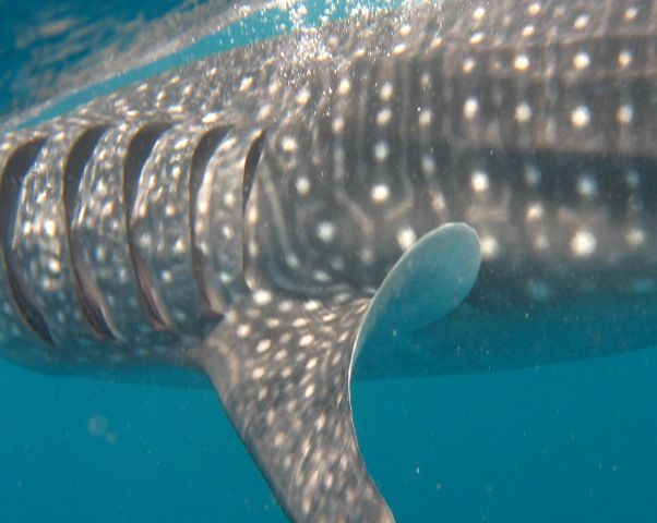 7642ff87-eef6-4421-a625-7a3747cf4a45