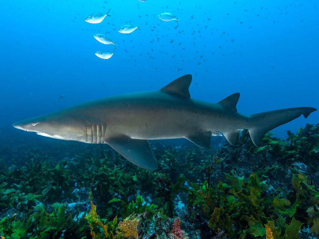 8428b3e3-950e-4fa5-b1cf-e896c50f5d49