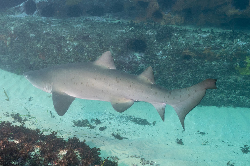 8c7ea2c9-7145-4626-8ead-dd304be0f37b