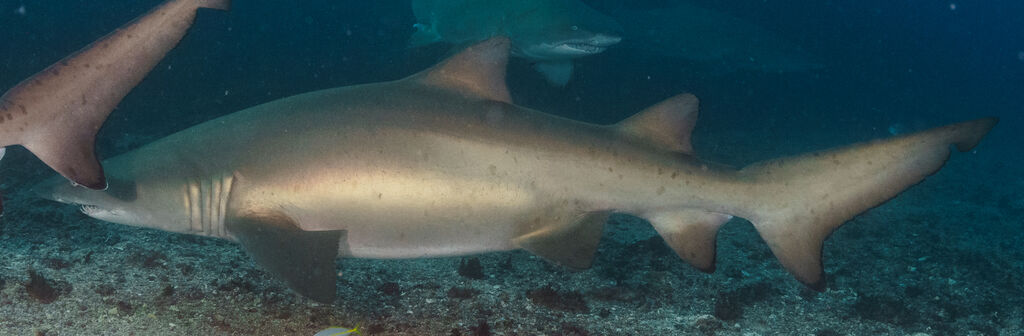 0bd22453-cc15-49ce-98b0-670894707d5f