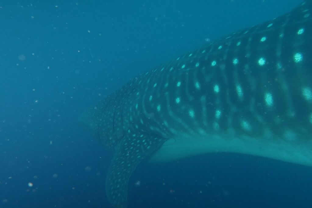 4f344150-2af5-4d14-8f2b-bdd28e11277a