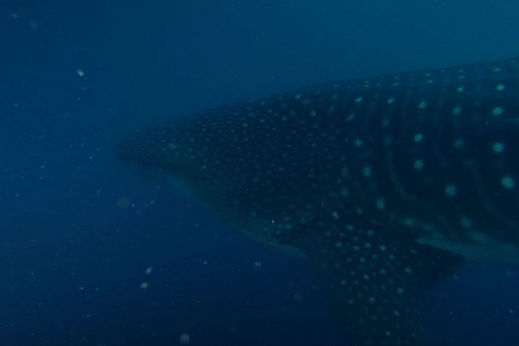 4f344150-2af5-4d14-8f2b-bdd28e11277a