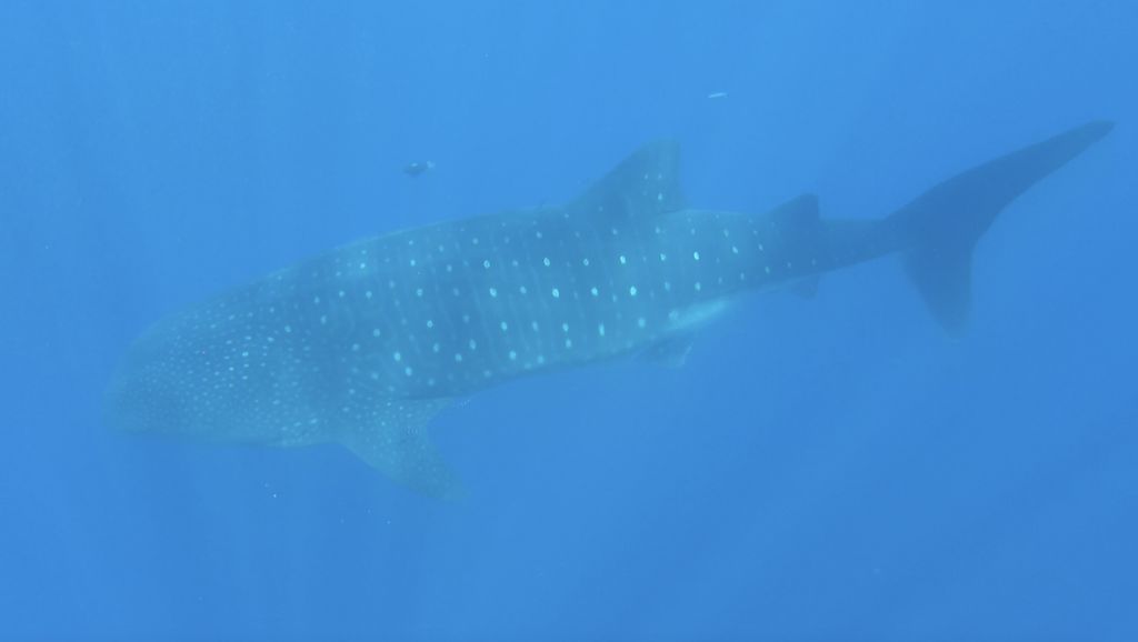 438f577b-929e-40d7-8cf9-5c6b21a8b433