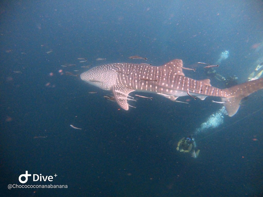 f53f620b-7741-4416-aa8c-f2e469b00a3c