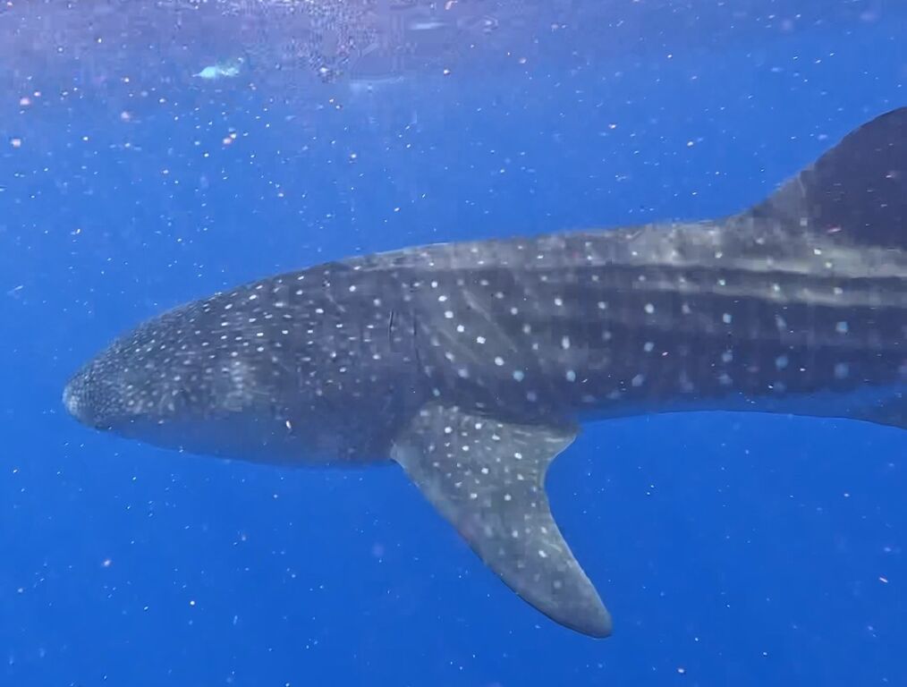 72721ba8-5e70-4818-b68f-400c4d6d679a