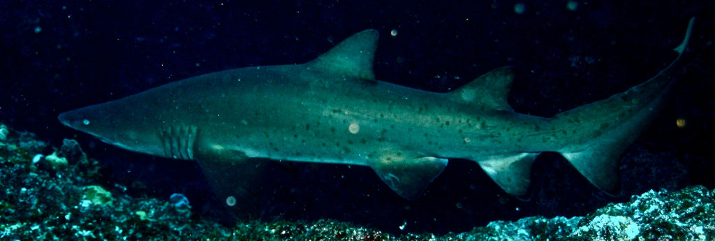 86a7550c-610a-4704-b6fa-4447d69d2908