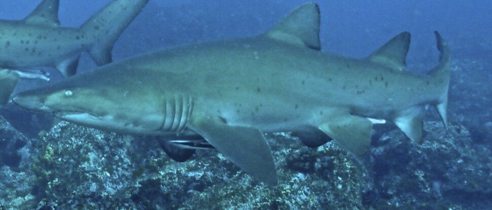 21cfe420-8fd2-4987-bdf5-a261bcf9e201