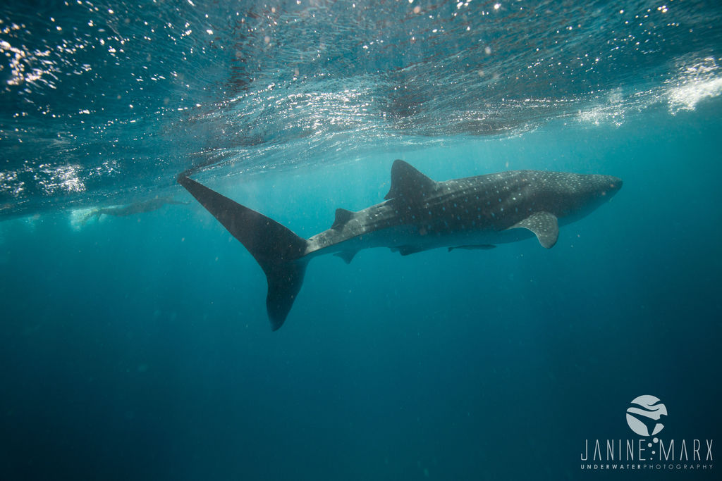 27dcaee4-82b5-4829-8f72-8f7751750a19