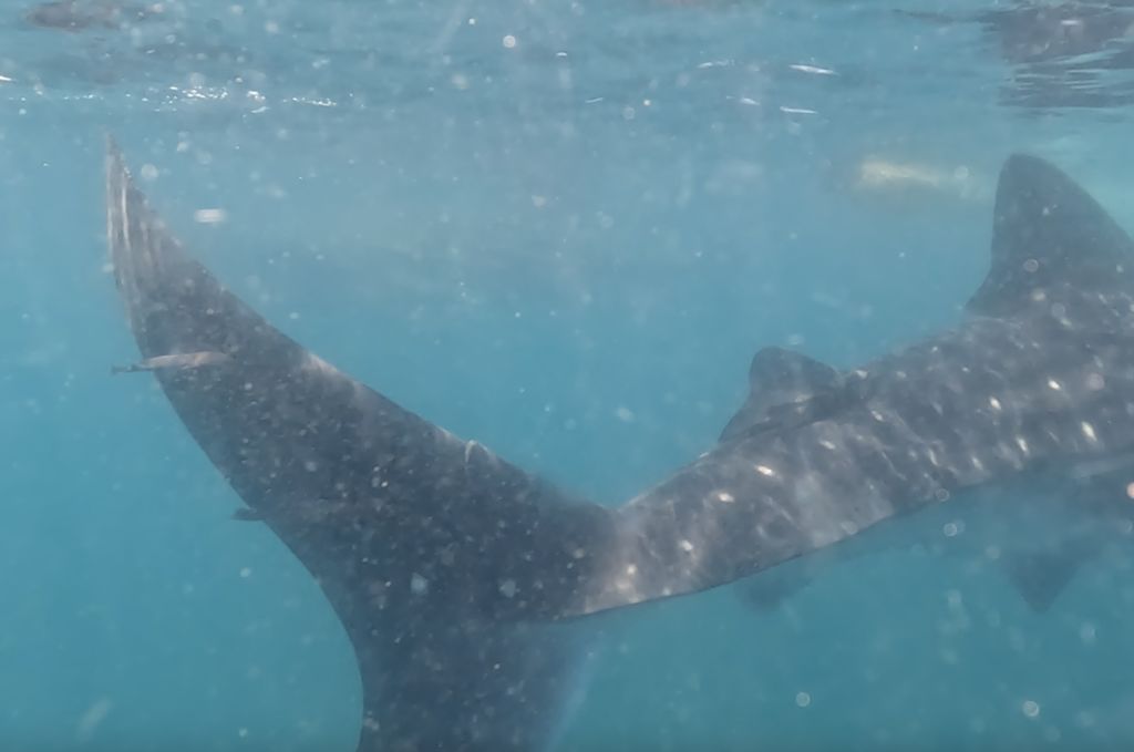 a13c8463-4597-4d5d-a5ed-f7c3ac5ff982