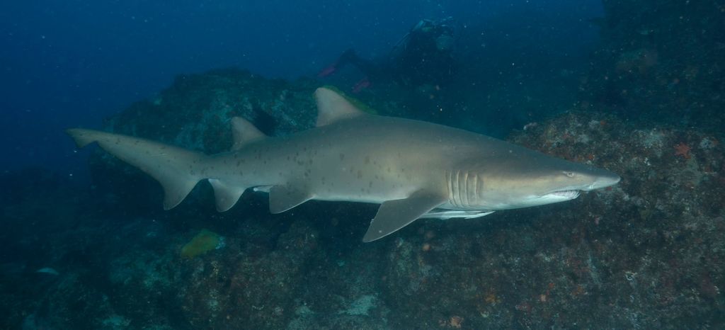 f859cab5-bc53-456a-8758-06ca4db0d885