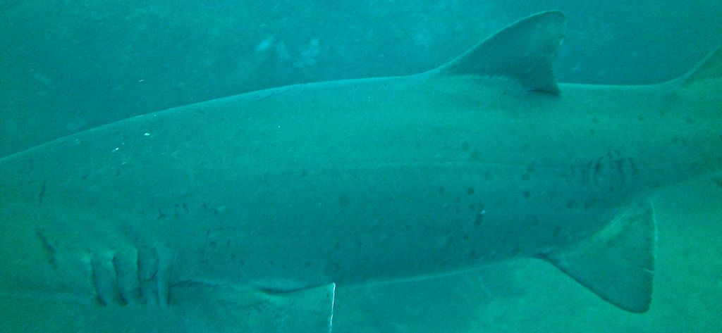 991baa6a-1ea6-477b-ba58-ba7f5488a510