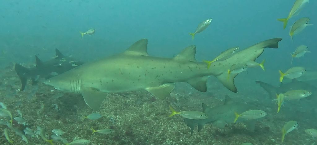 efd215b6-69fb-4d2a-b307-54d47c82d4ac