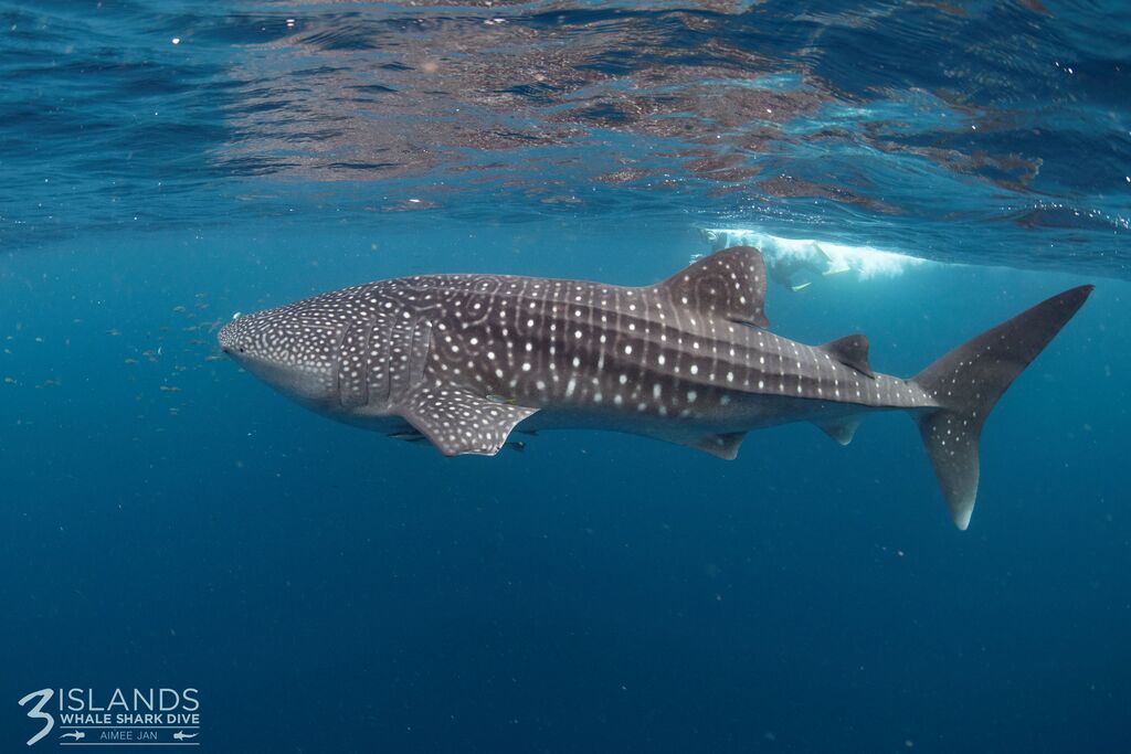 a8b779b7-45be-42b9-990d-179043f711a3