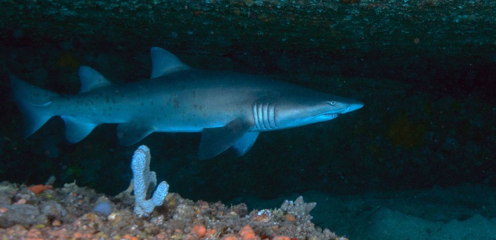 7be8614c-3a96-4458-87ea-97928cfdd489