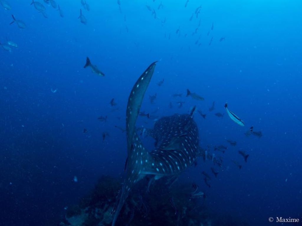 9131fd3a-a760-4fb2-b634-fddb07bd7b5a